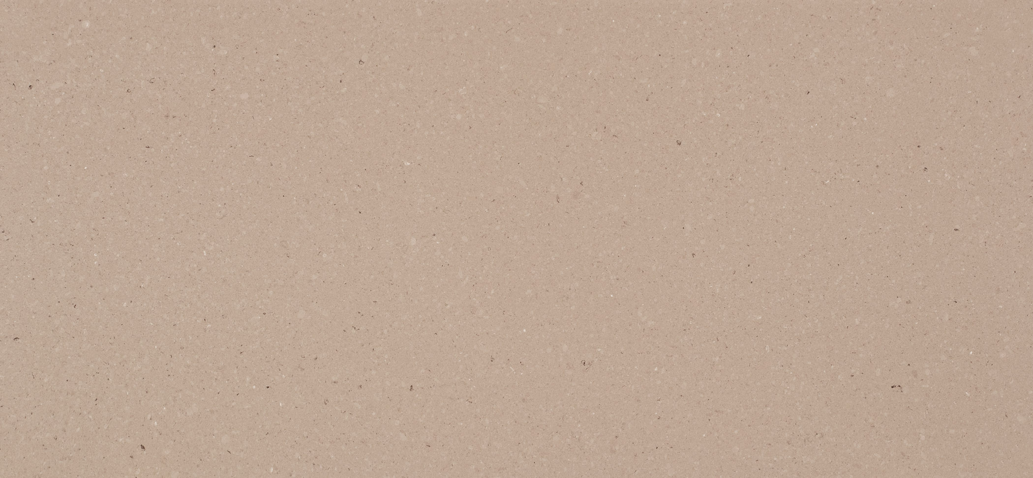 Shitake #4230